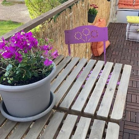 Appartement Cosy Dijon Exterior foto